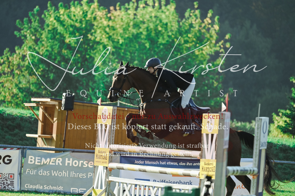 DSC_4299 | Pferde- und Turnierfotografie in Westsachsen. Pferdeportraits, Auftragszeichnungen und intuitive Kunst.