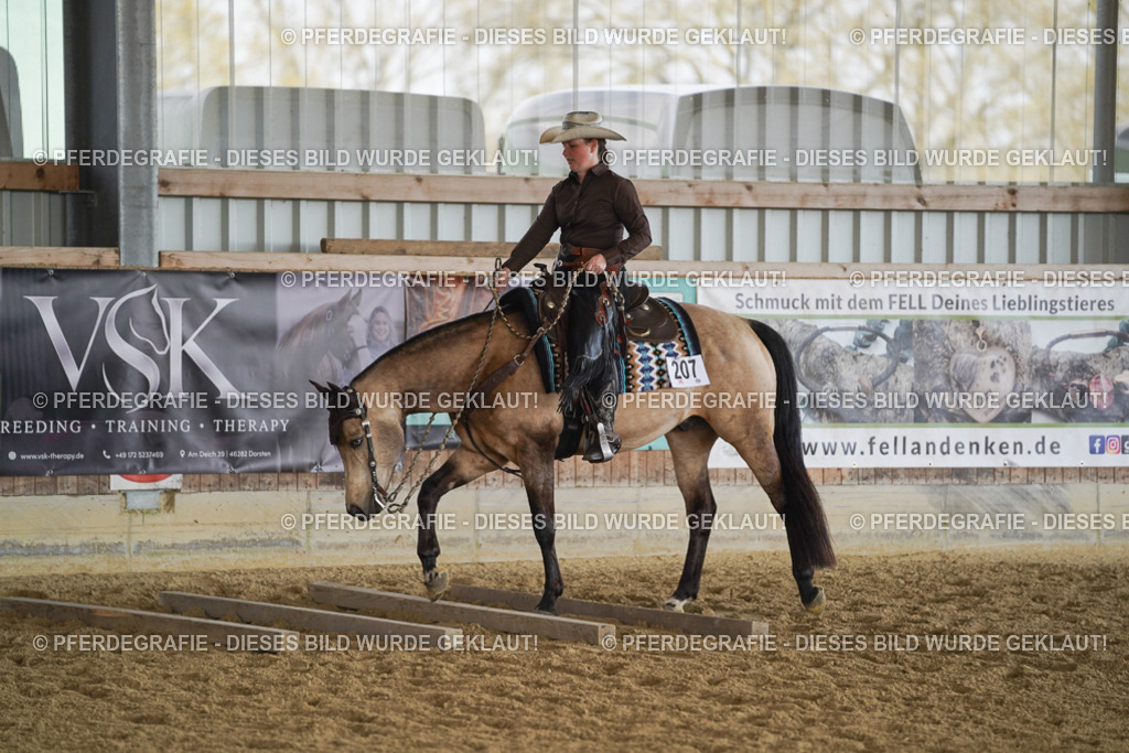 DSC00114 | Pferdegrafie