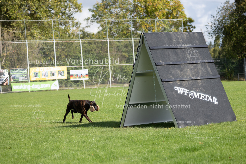_16A6859 | Einzigartige Fotos von Hunden & Menschen –Actionfotos, Portraits, Vereinsaufnahmen & Paarshootings – authentisch, lebendig & mit Herz.