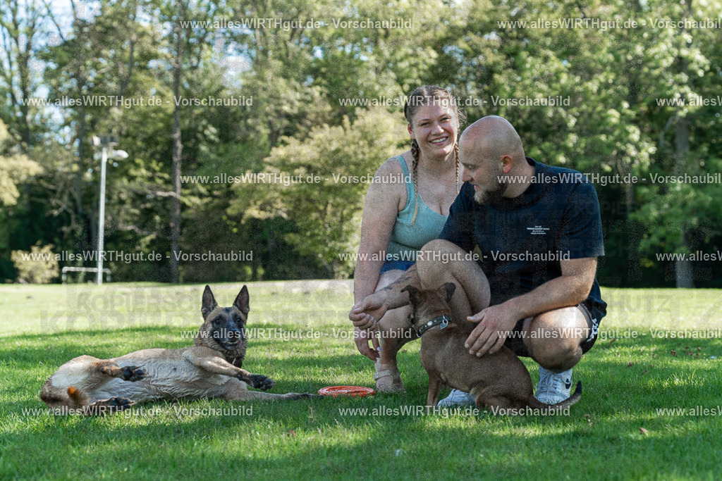 Hundeschwimmen_Volksbad_2026-allesWIRTHgut_Tierfotografie-2609061132-104239-7R509688 | Professionelle Tierfotografie in Mönchengladbach von Daniel Wirth (allesWIRTHgut). Liebevolle & natürliche Bilder von Hunden & Katzen für unvergessliche Erinnerungen.