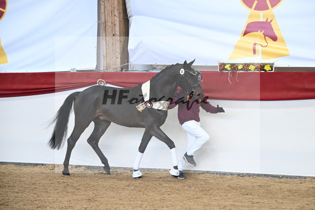 Kat.-Nr. 22 v. Heartbreaker_Laue_3265384 | hf-fotografie - Realizzato con Pictrs.com
