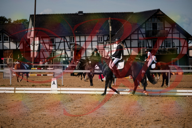 2026_10_03_Siefer-Hof_115453_Z63_30165272 | Professionelle Reitsport-, Turnier- und Eventfotografie von Robert Broda. Galerien mit ausgewählten und bearbeiteten Bildern direkt online ansehen und bestellen.