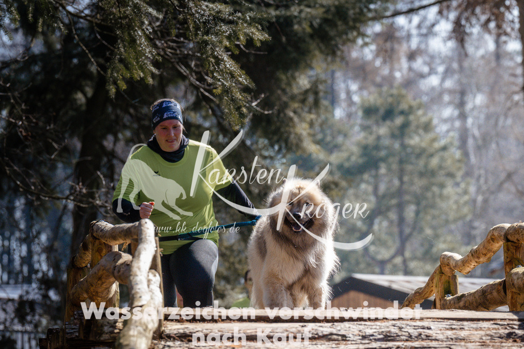 1333_ZZ95465 | kk-dogfotos