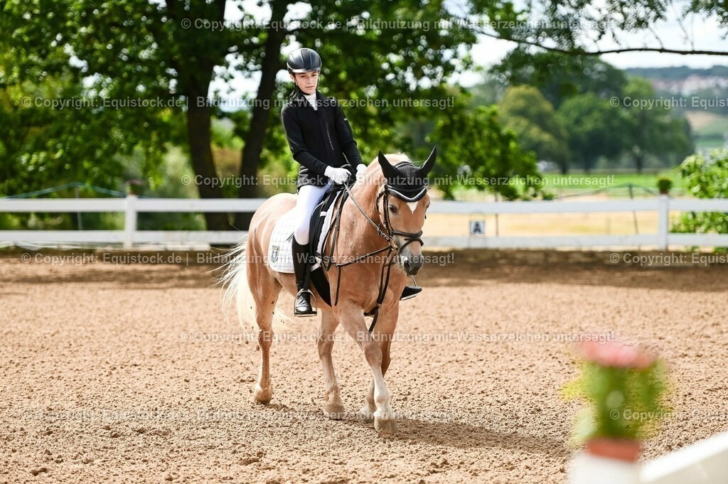 20230716_10-1_Reiter-WB Schritt - Trab - Galopp_0211 | equistock