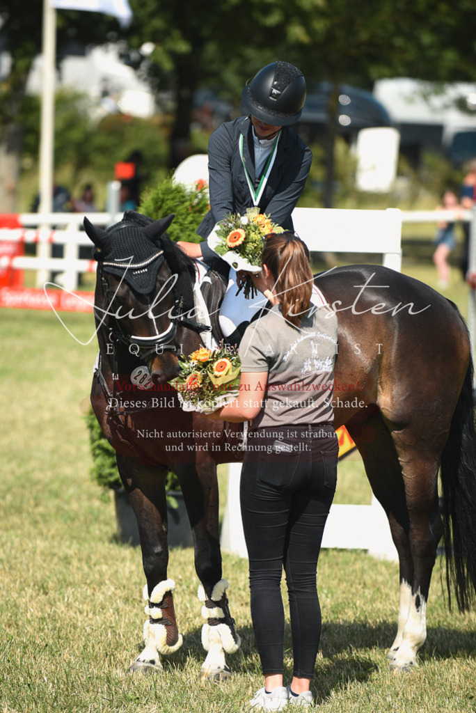 DSC_2616 | Pferde- und Turnierfotografie in Westsachsen. Pferdeportraits, Auftragszeichnungen und intuitive Kunst.
