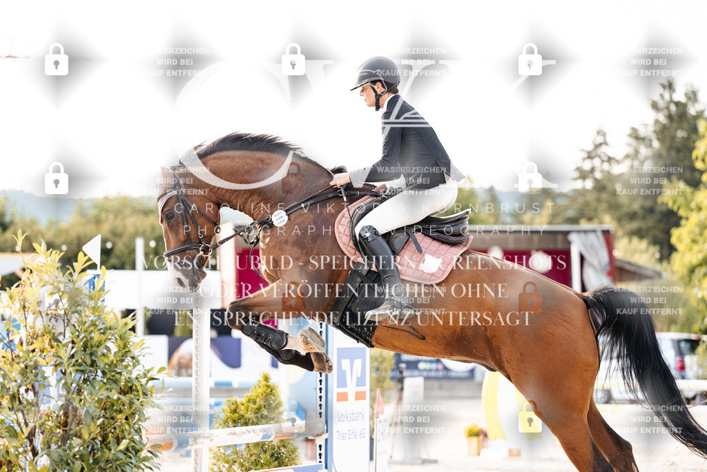CK906806 | Turnierfotografie Pferdefotografie Trier Rheinland-Pfalz Pferdesport Reitsport Tierfotografie Sportfotografie Pferdevideo Pferdevideografie Equestrianvideography equestrianphotography  - Realisiert mit Pictrs.com