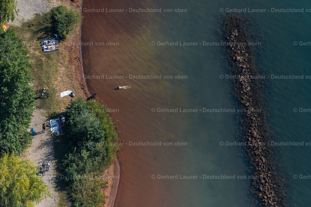 4042069 | BRAUNSBEDRA 08.09.2021 Rekultivierung der ehemaligen Tagebau - Fläche an den Uferbereichen des Sees " Geiseltalsee " in Braunsbedra im Bundesland Sachsen-Anhalt, Deutschland. // Open pit re cultivation on the shores of the lake " Geiseltalsee " in Braunsbedra in the state Saxony-Anhalt, Germany. Foto: Gerhard Launer