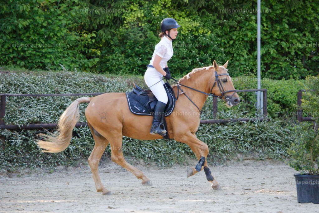 JHE_4766 | JoYa Fotografie - Realisiert mit Pictrs.com