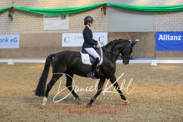 IMG_2563 | Turnierfotos kaufen im Webshop von Daniel Kuhl Photography – entdecke professionelle Reitsportfotos aus Turnieren & Events. Hochwertige Turnierbilder online bestellen & sichern. Jetzt Fotos von Reitsportturnieren kaufen!