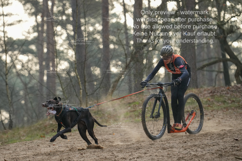 Scooter1-32 | stephaniefillaphotographie - Realisiert mit Pictrs.com