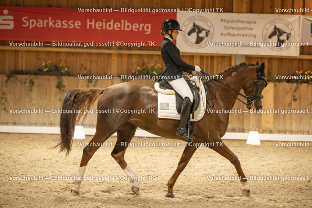 _D5A4019 | Emotionale Pferde- & People-Fotografie rund um Heidelberg, Leimen & Umgebung. Natürliche Fotos von Pferd, Mensch & Familie. Jetzt Termin sichern!