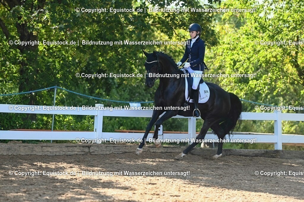 20230715_06_Dressurpferdeprfg. Kl.A_0258 | equistock