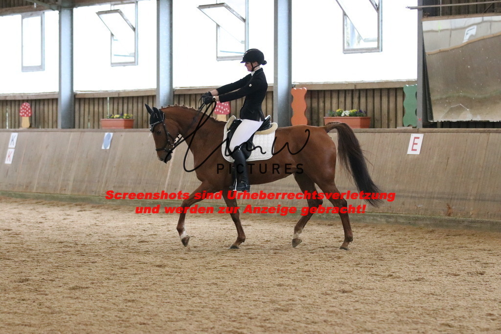 IMG_6598 | lmwpictures - Realisiert mit Pictrs.com