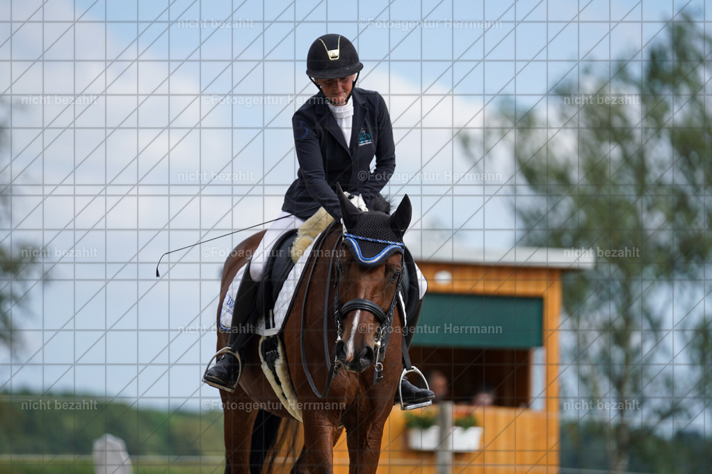 20230826-FAH06137 | Forstinning, 2023, Dressurturnier, Turniersportbilder, Turnierfotografen Bayern, Fotoagentur Herrmann, Reitsportfotografie, Turnierbilder