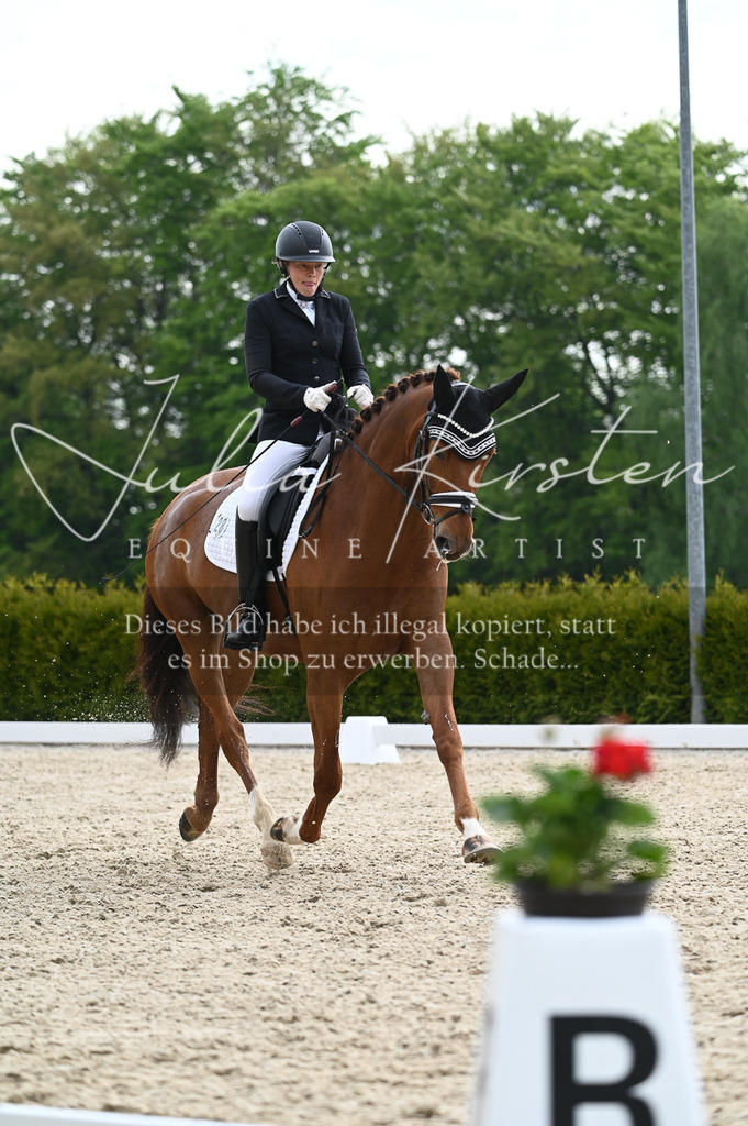 20230512_JK-Röhrsdorf-02-301 | Pferde- und Turnierfotografie in Westsachsen. Pferdeportraits, Auftragszeichnungen und intuitive Kunst.