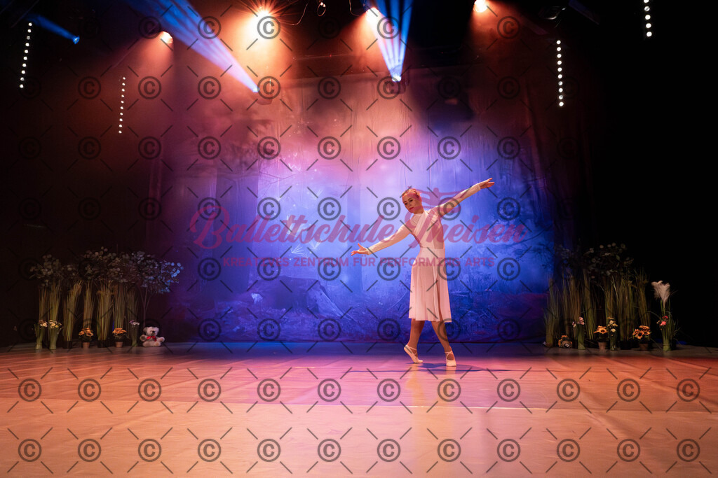 Ballettaufführung-1028 | Bildershop Lem'n Entertainment - Realisiert mit Pictrs.com