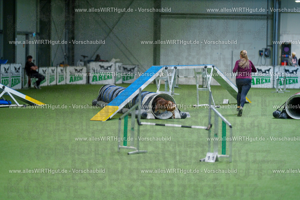 @allesWIRTHgut_Tierfotografie - www.allesWIRTHgut.de - 2604250810-7R505622 | Professionelle Tierfotografie in Mönchengladbach von Daniel Wirth (allesWIRTHgut). Liebevolle & natürliche Bilder von Hunden & Katzen für unvergessliche Erinnerungen.