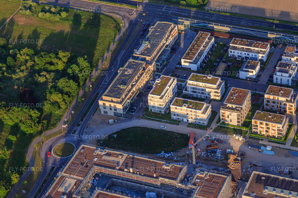 Luftbild: Neubauten in der Emil-Wachter-Straße mit ASB Seniorenzentrum RheinLeben im Ortsteil Mörsch in Rheinstetten im Bundesland Baden-Württemberg in Deutschland. Foto: IMG_146688.jpg vom 14.05.2025 durch Werner Riehm/FLY-FOTO.deWWW.ASB-RHEINSTETTEN-RASTATT.COM