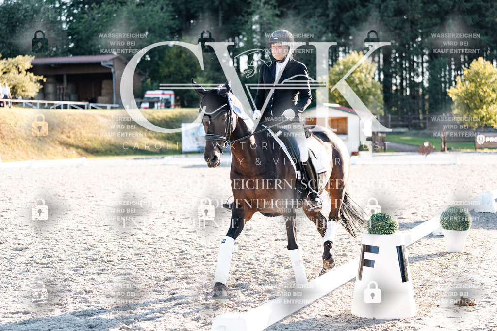 CK907235 | Turnierfotografie Pferdefotografie Trier Rheinland-Pfalz Pferdesport Reitsport Tierfotografie Sportfotografie Pferdevideo Pferdevideografie Equestrianvideography equestrianphotography  - Realisiert mit Pictrs.com