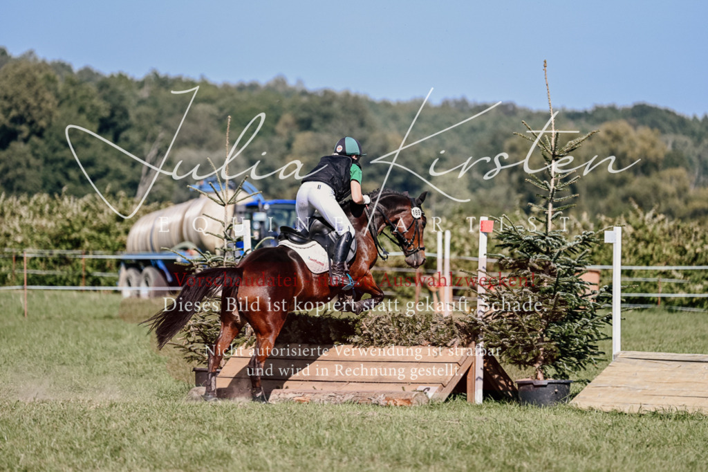 DSC_3613 | Pferde- und Turnierfotografie in Westsachsen. Pferdeportraits, Auftragszeichnungen und intuitive Kunst.