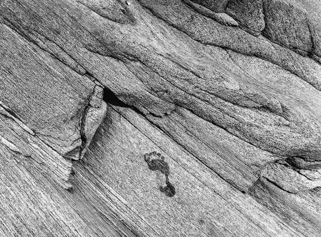 Steinwort_Verzasca_Spur_1988_8317sw | Beegebilder online. 
BIldarchiv von Beege Fotodesign mit ausgewählten Werken, die sich besonders gut für die Dekoration Ihrer Räume oder Wände eignen. 