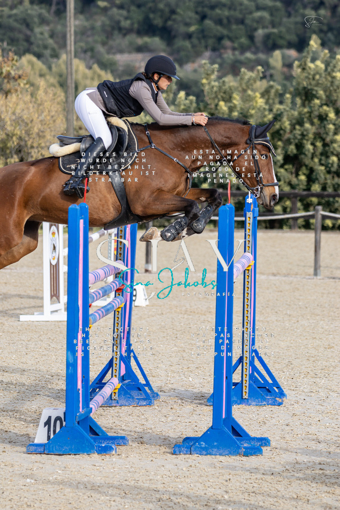 IMG_0454 | s-jay-photography - Realisiert mit Pictrs.com