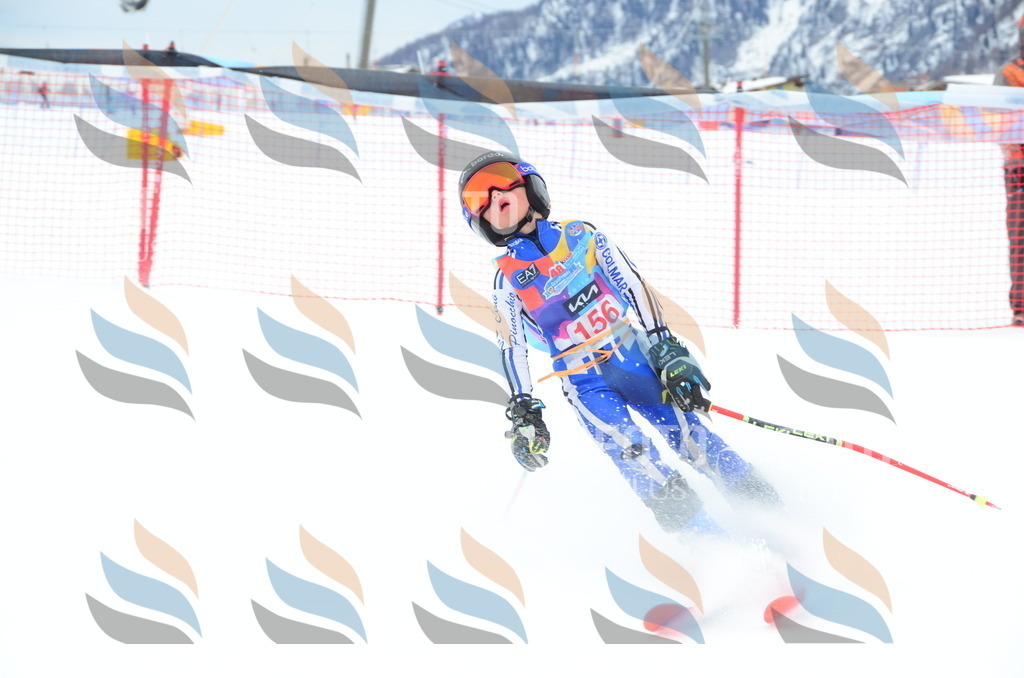 DSC_1492 | holidayphoto