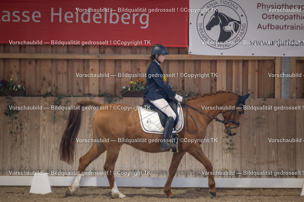 _D5A2063 | Emotionale Pferde- & People-Fotografie rund um Heidelberg, Leimen & Umgebung. Natürliche Fotos von Pferd, Mensch & Familie. Jetzt Termin sichern!