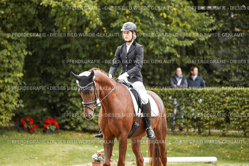 DSC08569 | Pferdegrafie