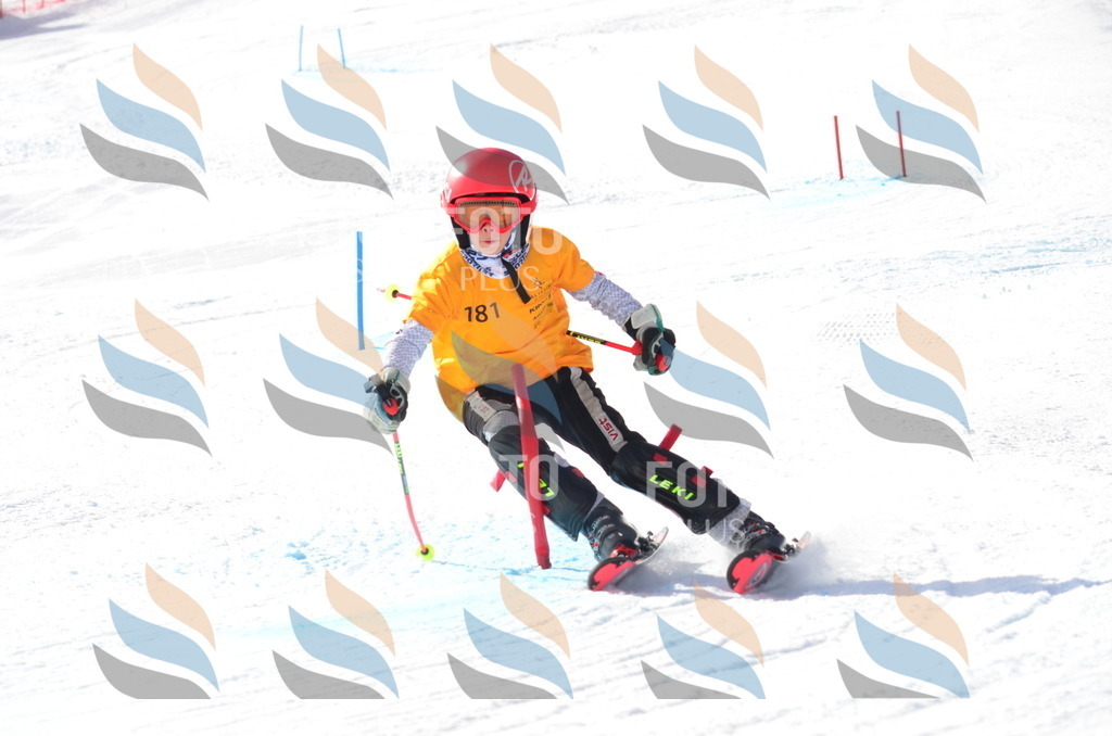 C7996 | holidayphoto