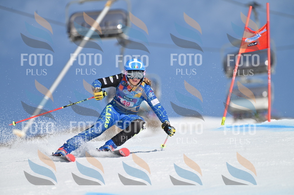 BGV_8515 | holidayphoto