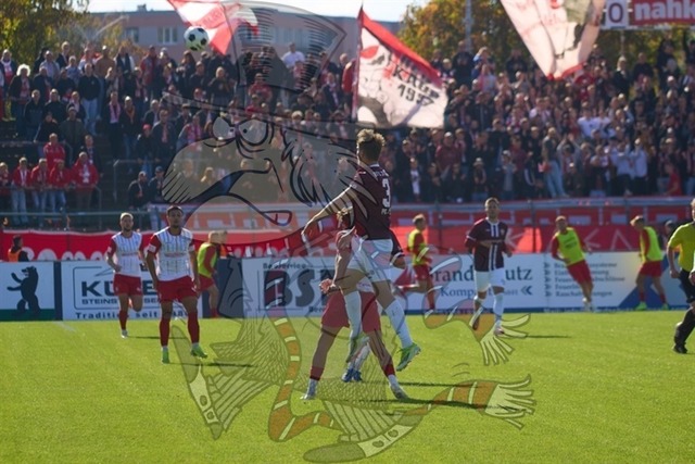 BFC Dynamo vs. FSV Zwickau 048 | mythos-online-redaktion