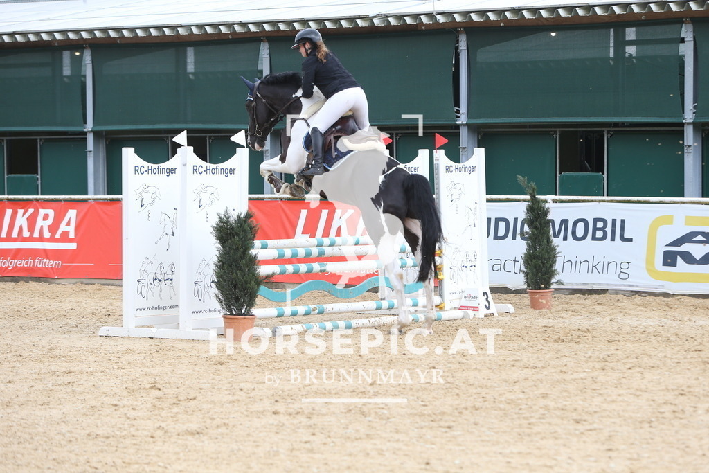 DL2Q1382 | Willkommen bei Brunnmayr - Design & Fotografie – Ihrem Spezialisten für Reitturniere und Pferdeveranstaltungen in Oberösterreich, Salzburg und Bayern! Seit über 17 Jahren sind wir leidenschaftlich dabei.