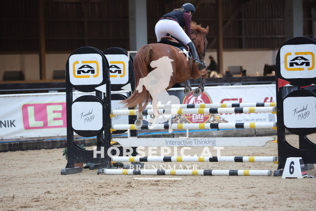 0P6A5338 | Willkommen bei Brunnmayr - Design & Fotografie – Ihrem Spezialisten für Reitturniere und Pferdeveranstaltungen in Oberösterreich, Salzburg und Bayern! Seit über 17 Jahren sind wir leidenschaftlich dabei.