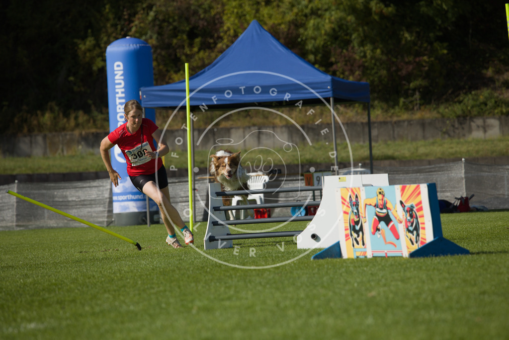 0L8A8752 | Hundefotografie, Tierfotograf, Pfotenfotografie, Fotoshooting Hund, Hunde Portrait, Hundesport, Hundeportraits, Heideshooting, Hunde, Sportfotograf, Hundefotograf, Turnierhundsport, THS,  - Realisiert mit Pictrs.com