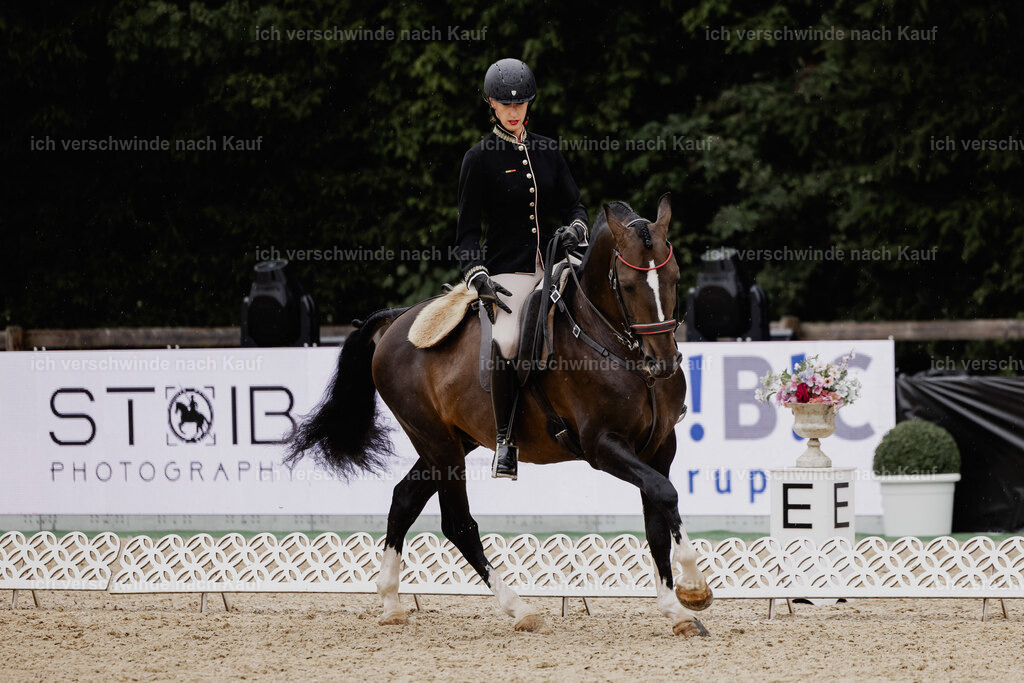 Virginie12FHC2025-24554 | working equitationturnier fotograf videograf stoibphotography marixx film working equitation deutschland reitsport turnierfotografie eventfotografie equestrian events