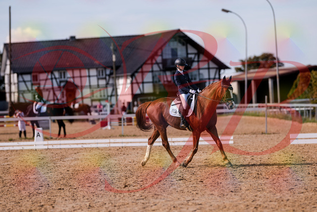 2026_10_03_Siefer-Hof_133156_Z81_87410882 | Professionelle Reitsport-, Turnier- und Eventfotografie von Robert Broda. Galerien mit ausgewählten und bearbeiteten Bildern direkt online ansehen und bestellen.