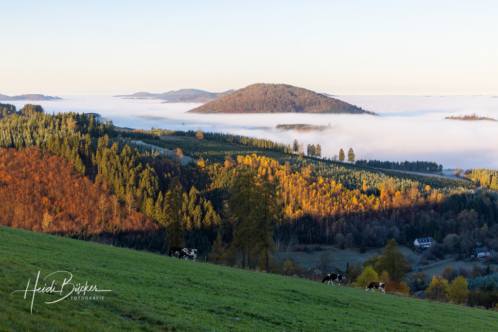 Nebelmeer im Lennetal | Nebelmeer im Lennetal - Realisiert mit Pictrs.com