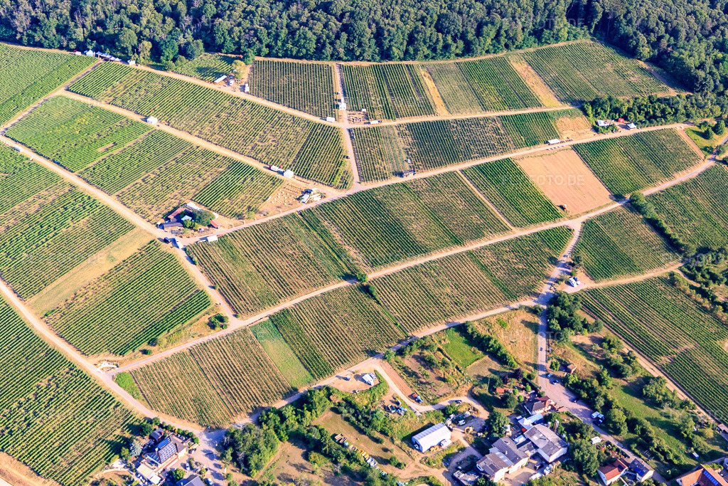 Luftbild: Probierstände im Weinberg für 