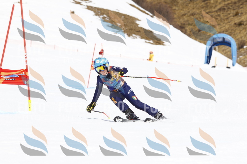 _U3G5909 | holidayphoto