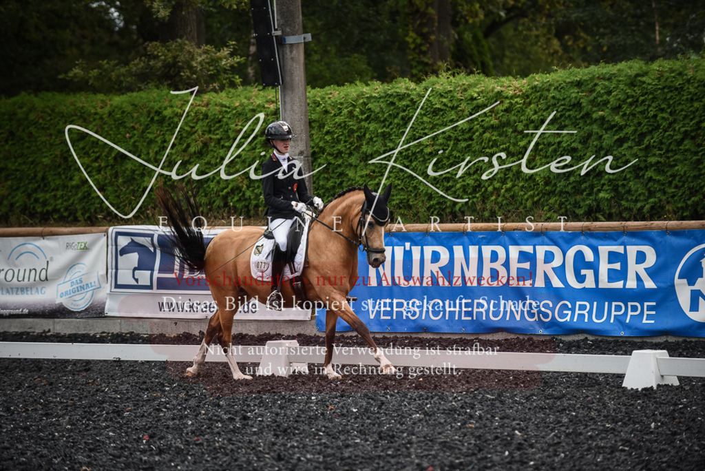 DSC_4455 | Pferde- und Turnierfotografie in Westsachsen. Pferdeportraits, Auftragszeichnungen und intuitive Kunst.