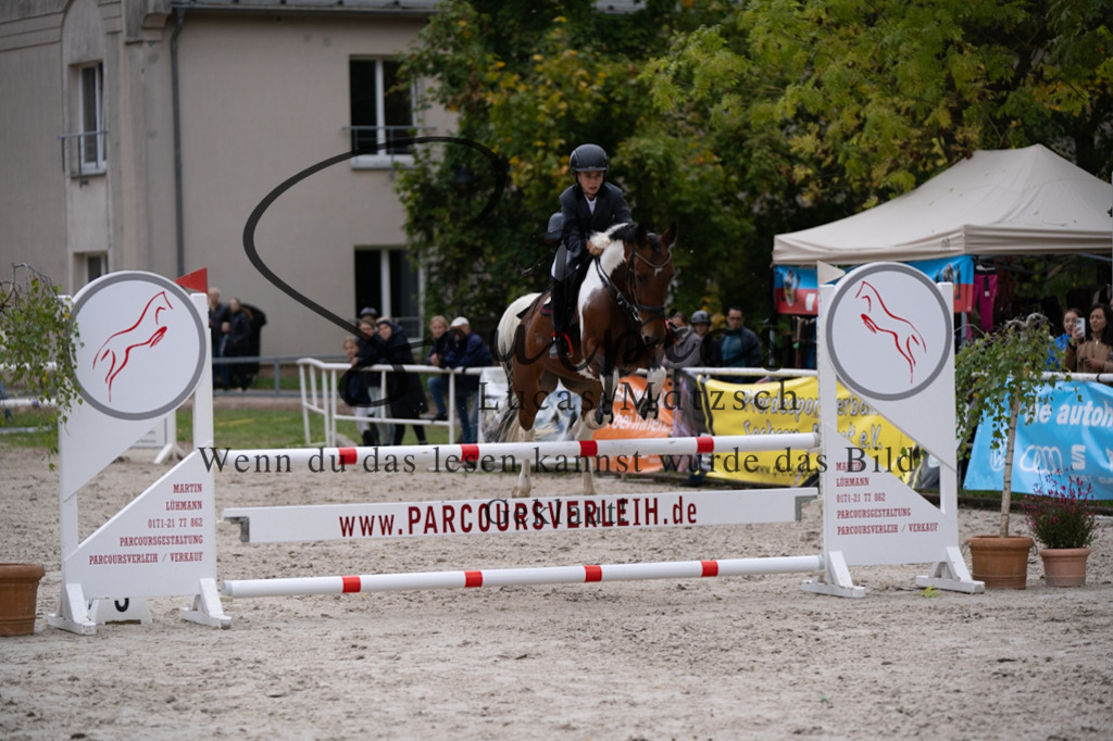 A7V08013 | Pferdefotograf