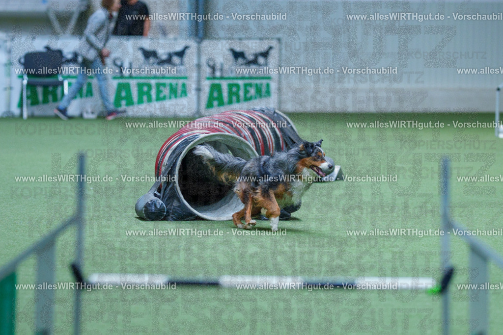 @allesWIRTHgut_Tierfotografie - www.allesWIRTHgut.de - 2604251516-7R505681 | Professionelle Tierfotografie in Mönchengladbach von Daniel Wirth (allesWIRTHgut). Liebevolle & natürliche Bilder von Hunden & Katzen für unvergessliche Erinnerungen.