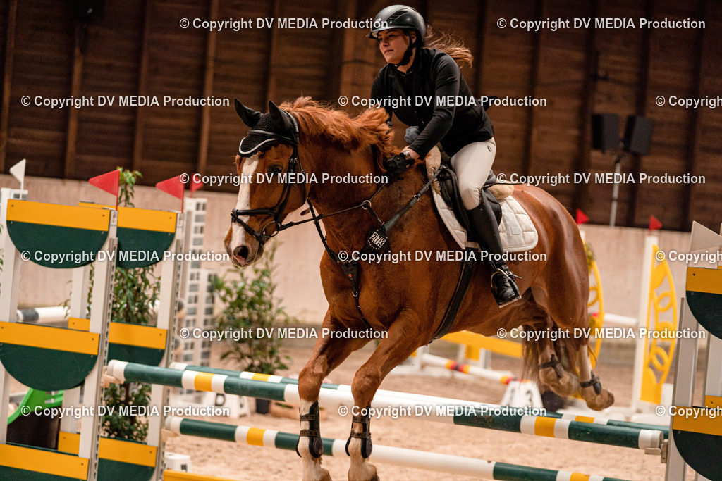 Springen Tag 2-460 | dv-media-shop - Realisiert mit Pictrs.com