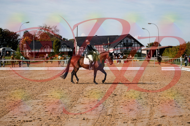 2026_10_03_Siefer-Hof_123045_Z63_51677423 | Professionelle Reitsport-, Turnier- und Eventfotografie von Robert Broda. Galerien mit ausgewählten und bearbeiteten Bildern direkt online ansehen und bestellen.