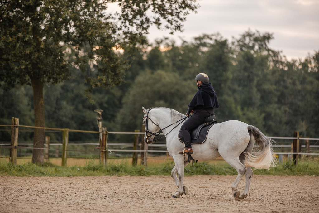 846A0132 | fotosleben - Realisiert mit Pictrs.com