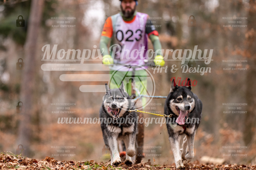 AKM_ST_2023_SAM_DS2-67 | PayLife