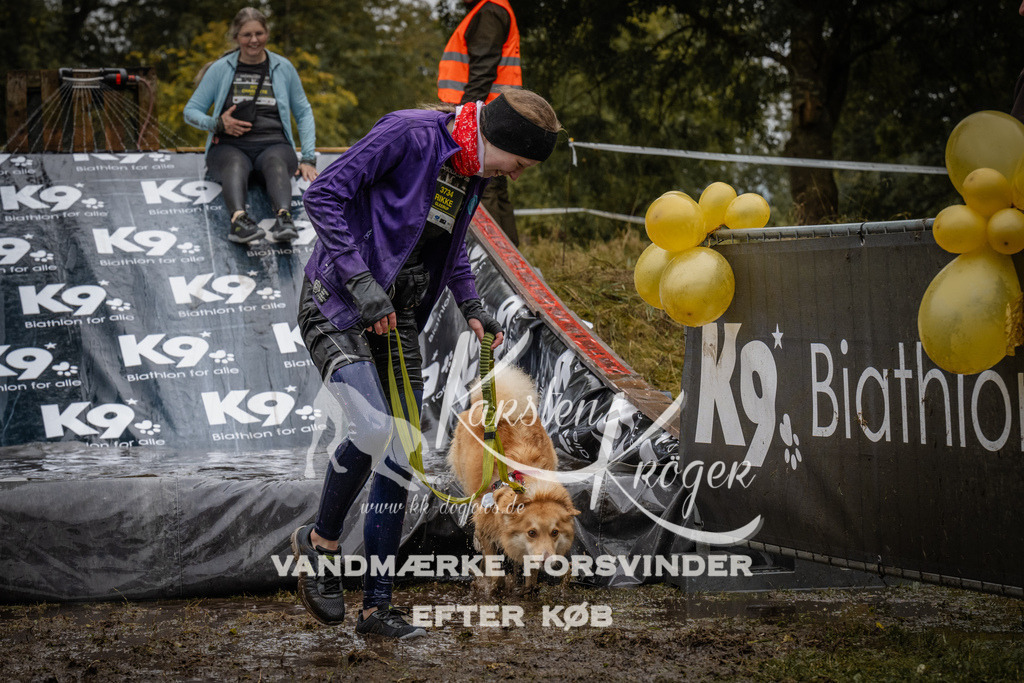 1117_ZZ92513 | kk-dogfotos