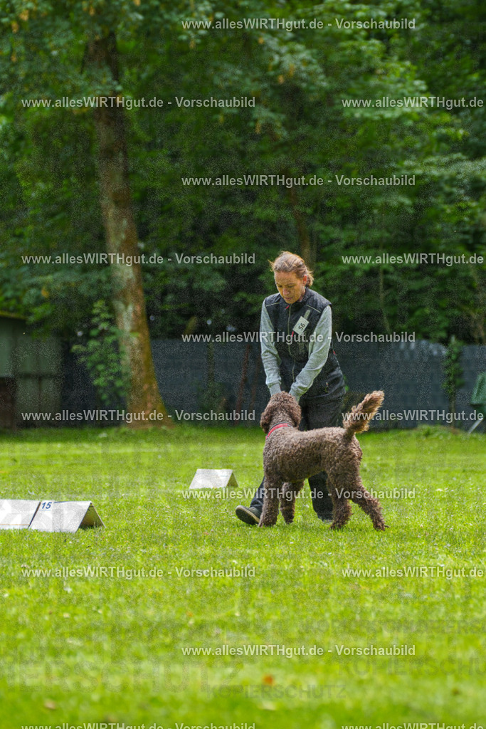 @allesWIRTHgut_Tierfotografie - www.allesWIRTHgut.de - 7R501140 | Professionelle Tierfotografie in Mönchengladbach von Daniel Wirth (allesWIRTHgut). Liebevolle & natürliche Bilder von Hunden & Katzen für unvergessliche Erinnerungen.