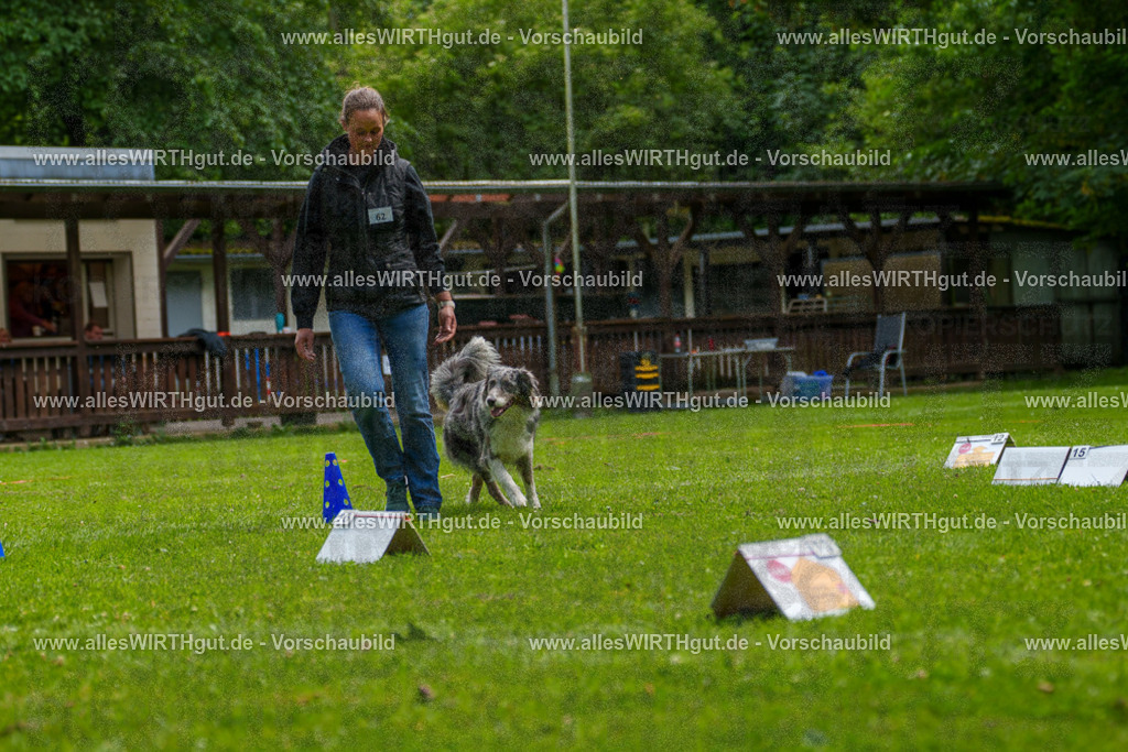 @allesWIRTHgut_Tierfotografie - www.allesWIRTHgut.de - 7R502073 | Professionelle Tierfotografie in Mönchengladbach von Daniel Wirth (allesWIRTHgut). Liebevolle & natürliche Bilder von Hunden & Katzen für unvergessliche Erinnerungen.